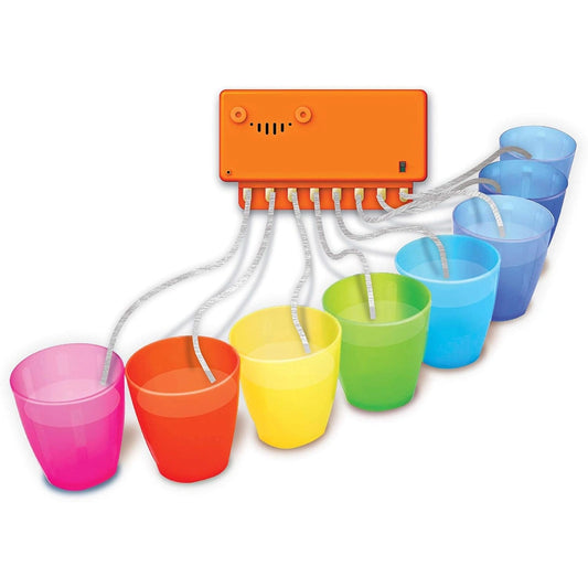 4m Girl Steam / Music Circuit