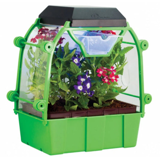 Edu- Toys My First Led Greenhouse