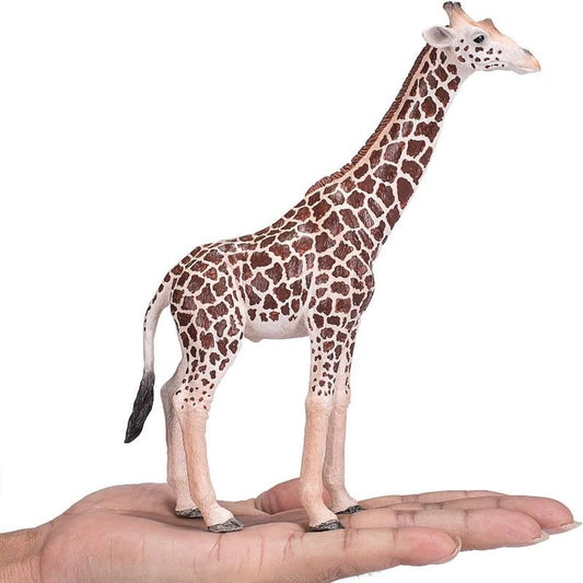 Mojo Giraffe Male