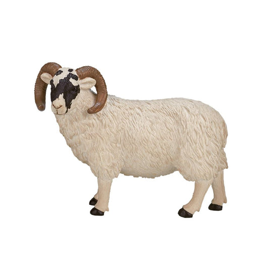 MOJO - Farmland Black Face Ram Sheep Realistic Hand Painted Figurine