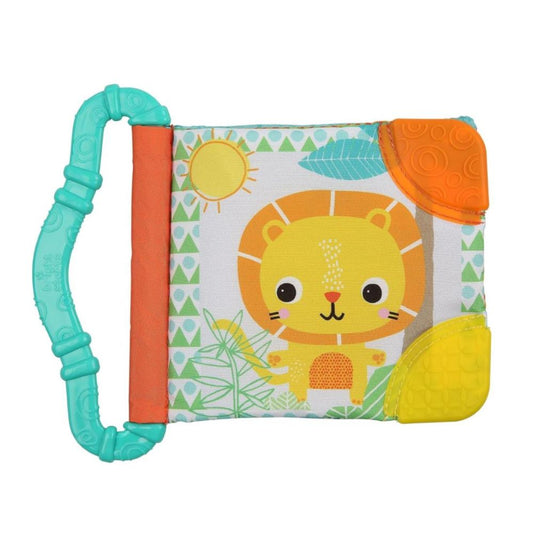 Bright Starts - Teethe & Read Toy