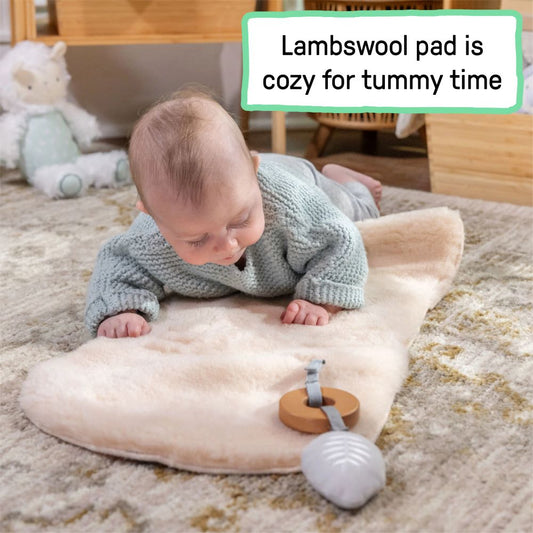 Ingenuity Every Season Rocking Seat - Wesley