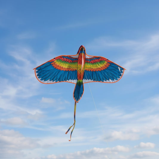 Colorful Bird Kite.