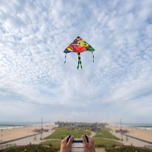 Colorful Kite.