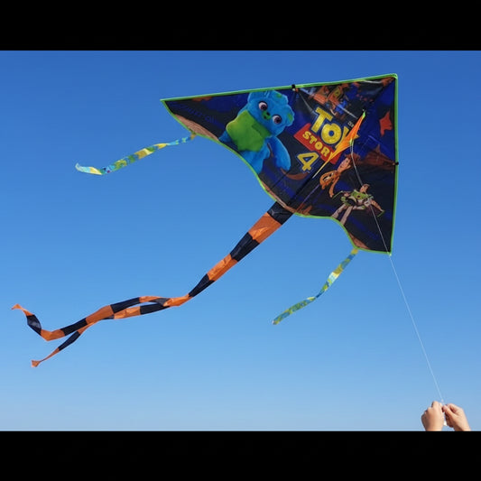 Colorful Kite