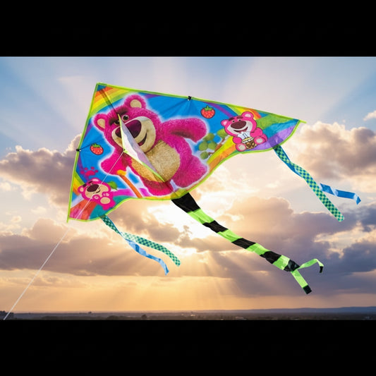Colorful kite.
