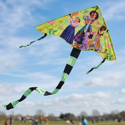Colorful kite.