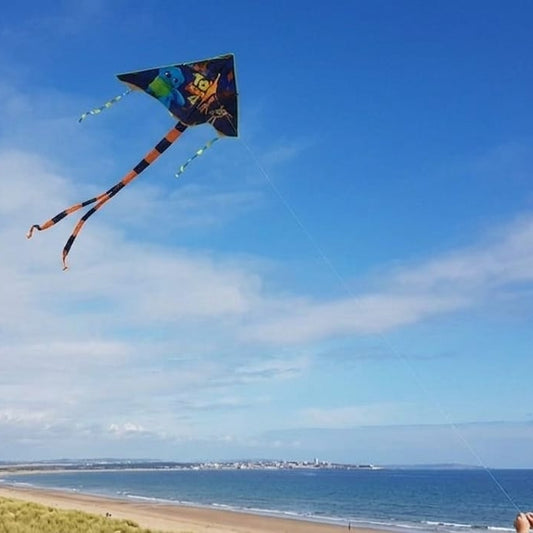 Colorful Kite
