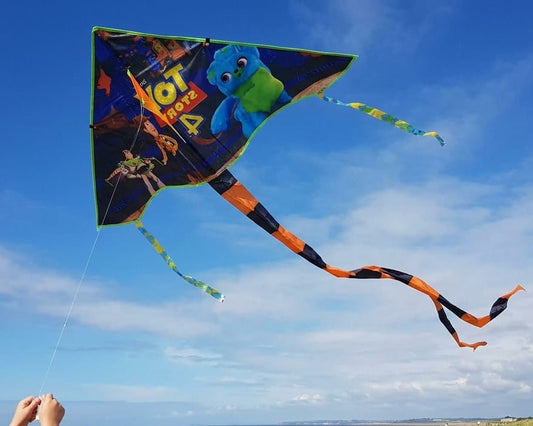 Colorful Kite