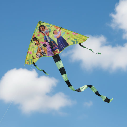 Colorful kite.