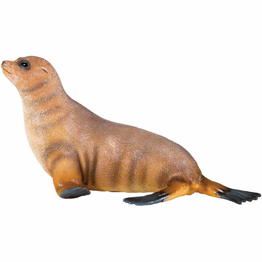 National Geographic Wildlife Fur Seal