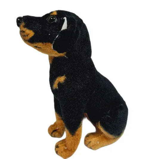 Teddy - Animal Plush -22cm
