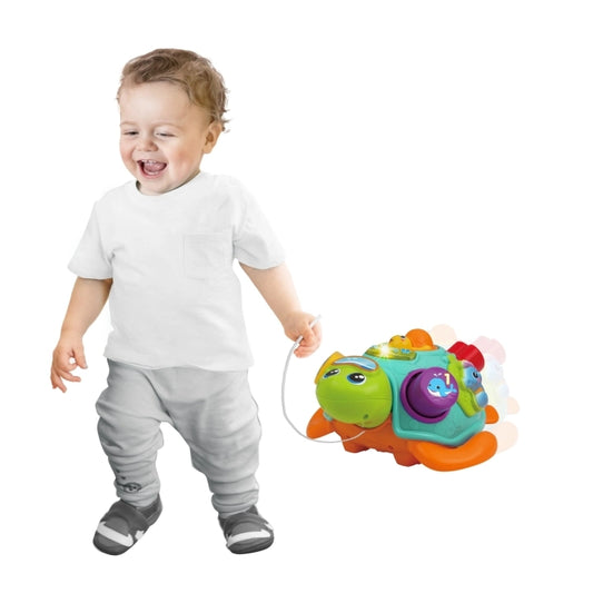 Winfun Pull Along Sort N Learn Turtle