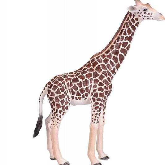 Mojo Giraffe Male