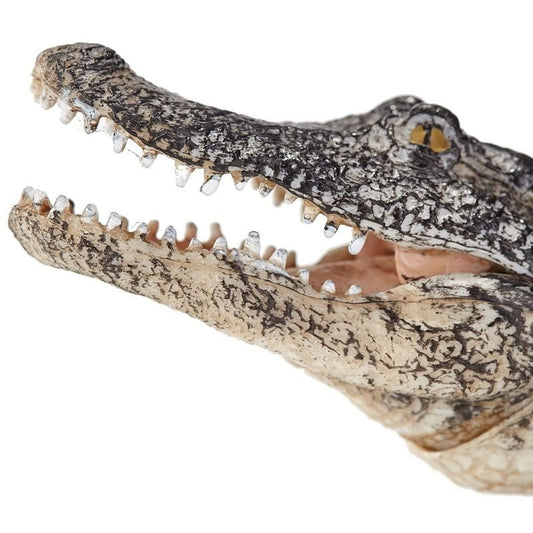 Mojo Alligator With Moving Jaw
