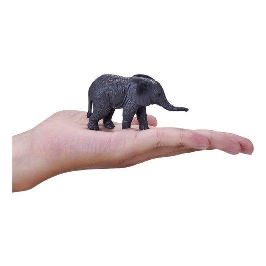 Mojo African Elephant Calf