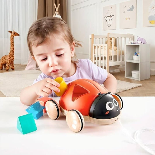 Hape Shape-sorter Ladybug