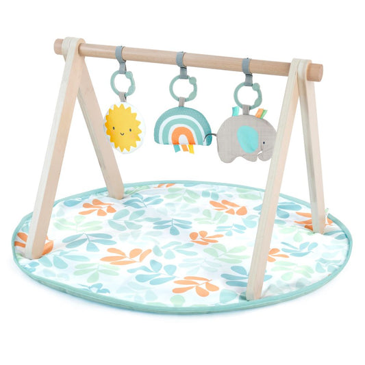 Ingenuity Sun Valley Wooden Toy Arch & Baby Play Mat