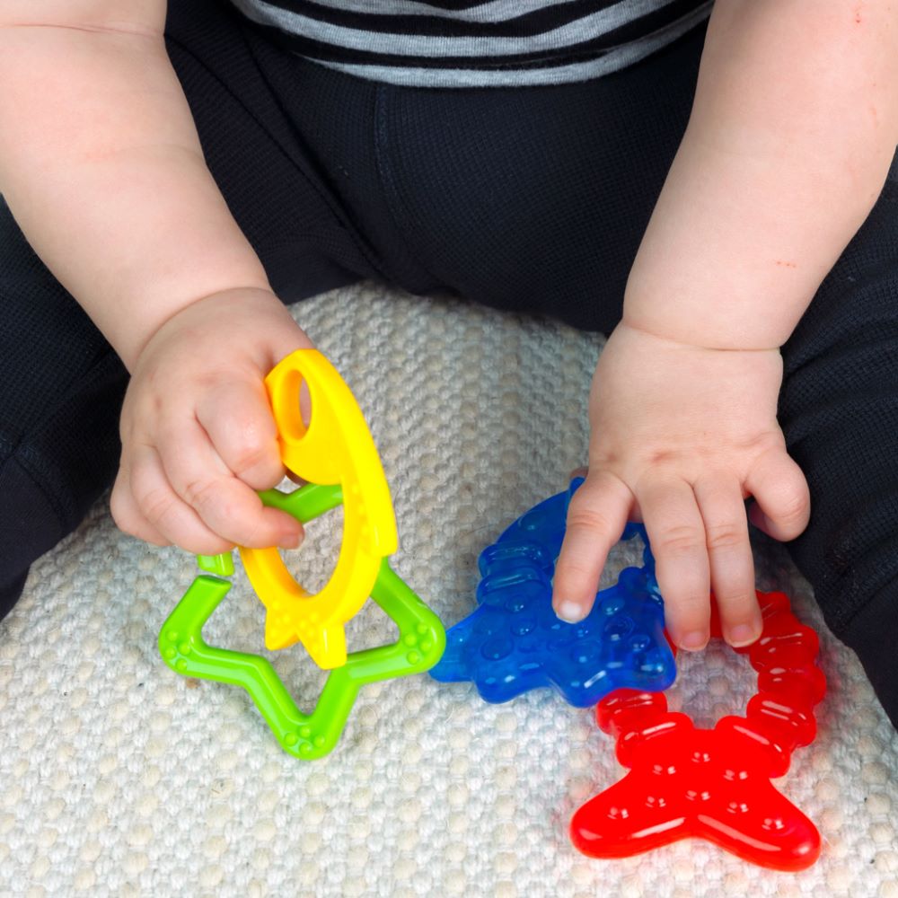 Baby Einstein textured teethers for infants – toy delivery service in Qatar