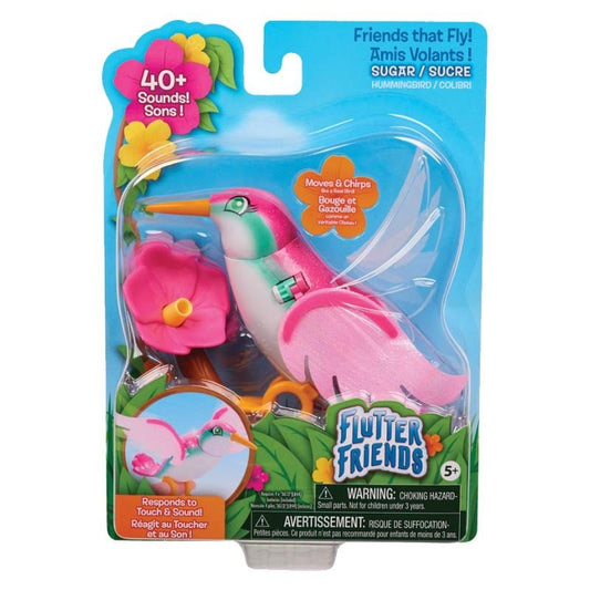 Flutter Friends Hummingbird