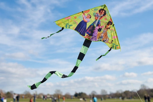 Colorful kite.