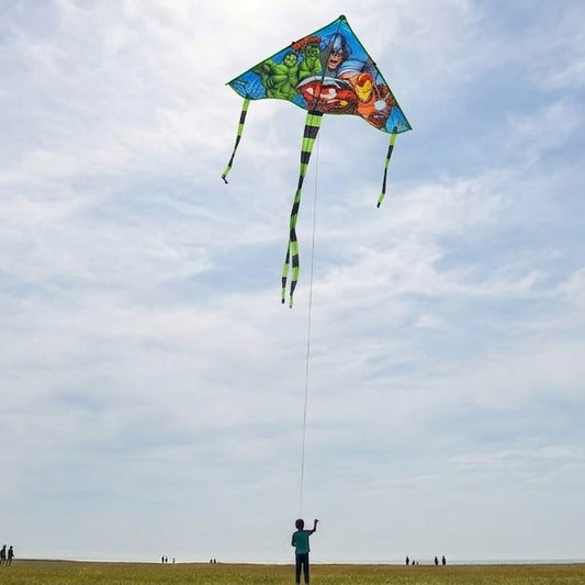 Colorful kite.