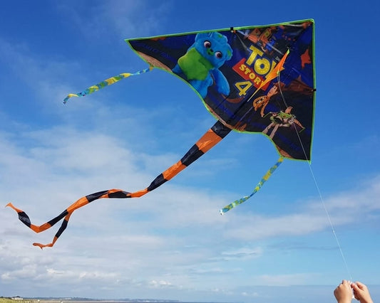Colorful Kite