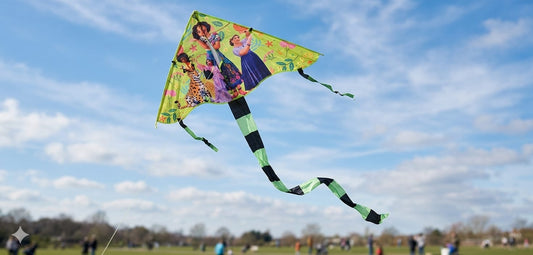 Colorful kite.