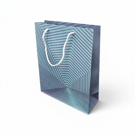 Paper Gift Bag  (Size- 26*32*10cm)
