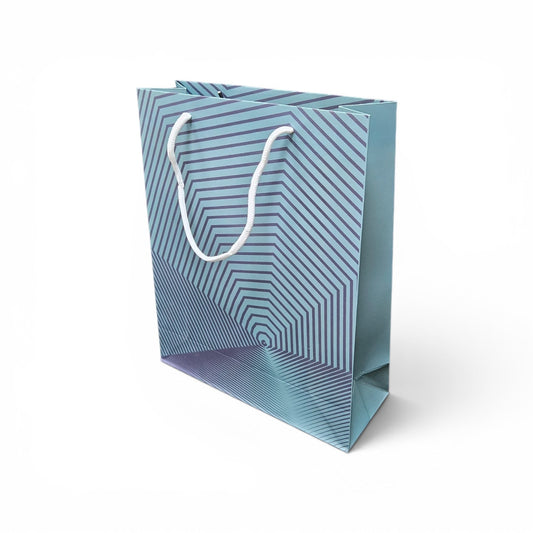 Paper Gift Bag  (Size- 26*32*10cm)