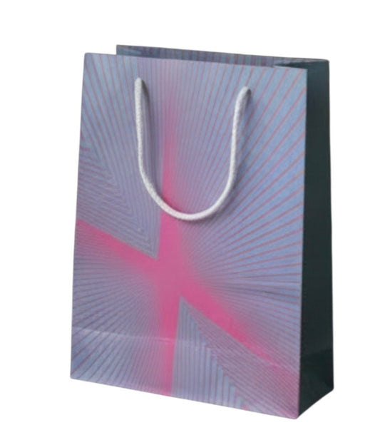 Paper Gift Bag(Size- 26*32*10cm)