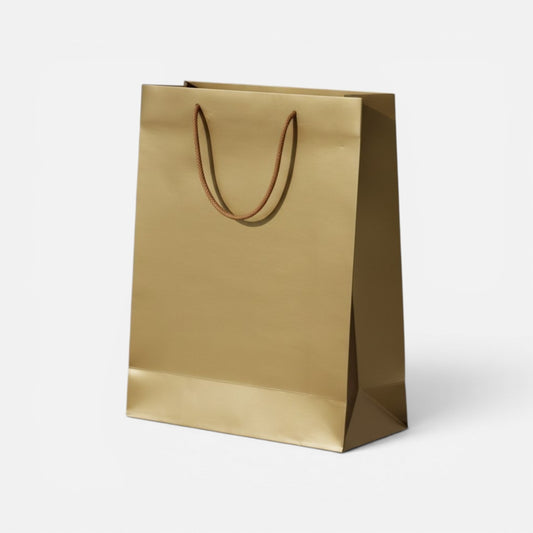 Paper Gift Bag (Size- 26*32*10cm)