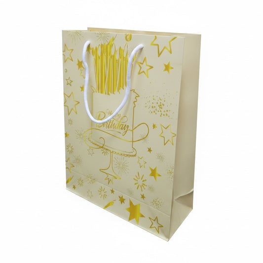 Paper Gift Bag  (Size- 26*32*10cm)