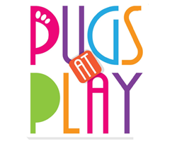 Pugs At Play